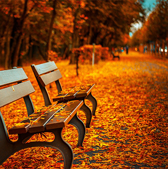 网页电话直接拨打