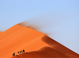 呼死你软件短信