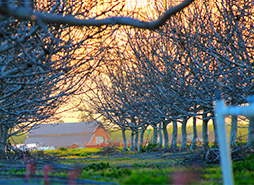 无限轰炸手机软件短信下载