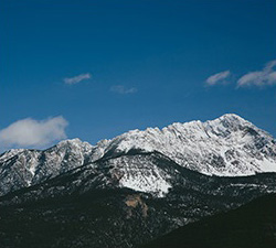 电话验证码轰炸平台